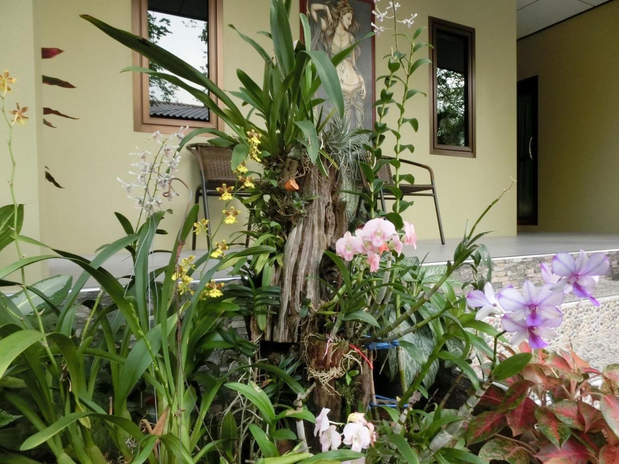 Big House Resort ตราด ภายนอก รูปภาพ